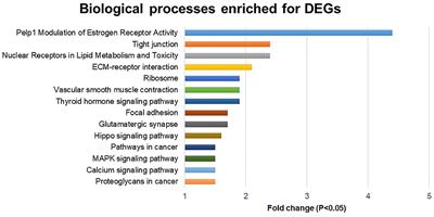 Influence of a Polyherbal Mixture in Dairy Calves: Growth Performance and Gene Expression